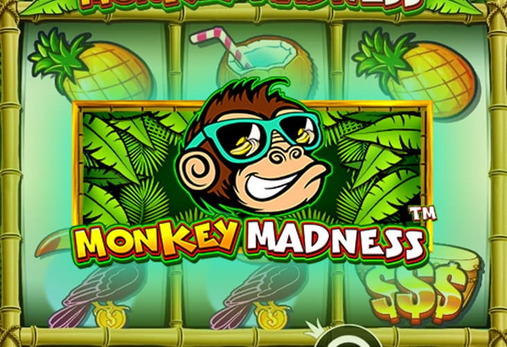 Monkey Madness - Pragmatic Play slot at Unibet Kasyno Polska Casino